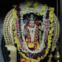 Shri Mahesh Bhat Choontharu